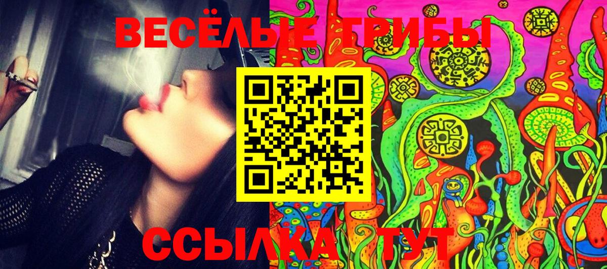 Псилоцибиновые грибы Psilocybine cubensis  Вход с VPN  Северск 